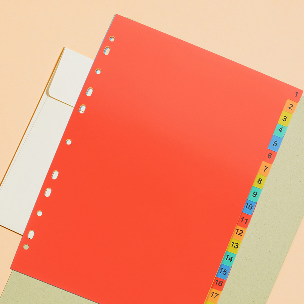 플라스틱 인덱스 분리대 2세트, A4 사이즈, 11개의 - Tab Divider A4 리뷰 및 가격