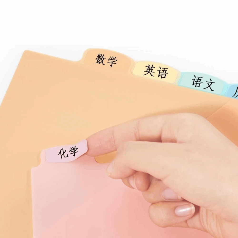 A4 사이즈 파스텔 색상 바인더 분리대 8개, 3링 바 - Tab Divider A4 리뷰 및 가격