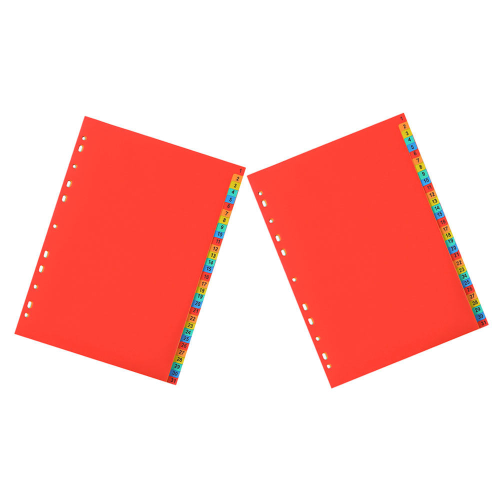 A4 사이즈 인덱스 분리대 2세트, 플라스틱 재질, 3 - Tab Divider A4 리뷰 및 가격